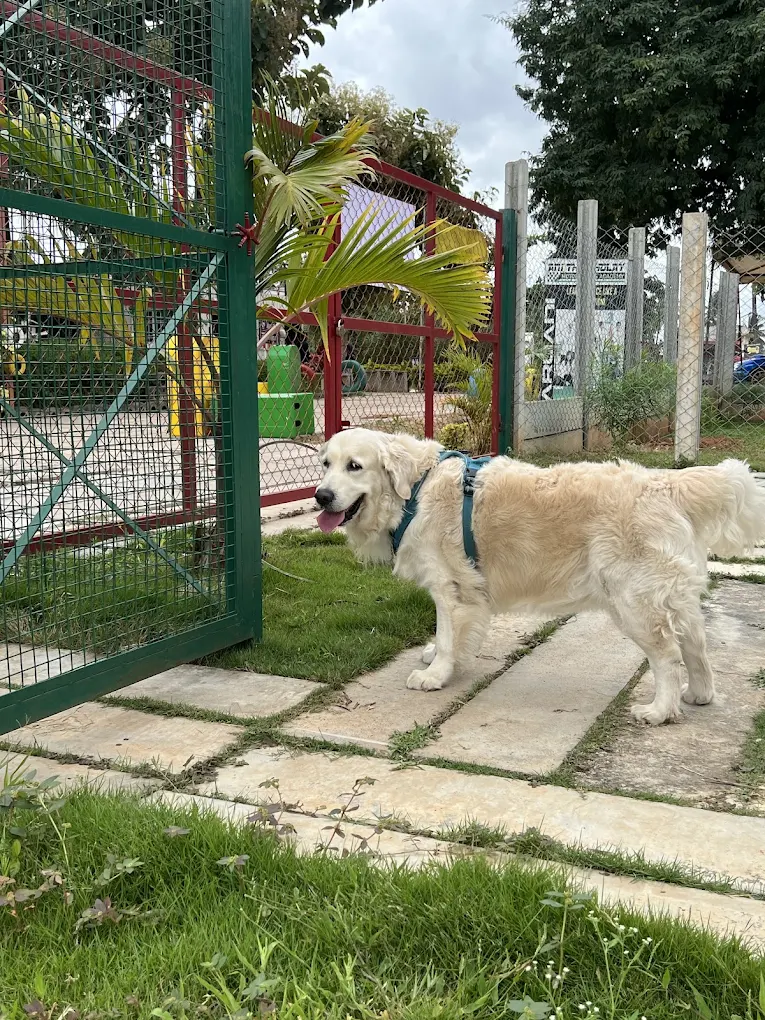 Showing Up and Getting Ready to Splash